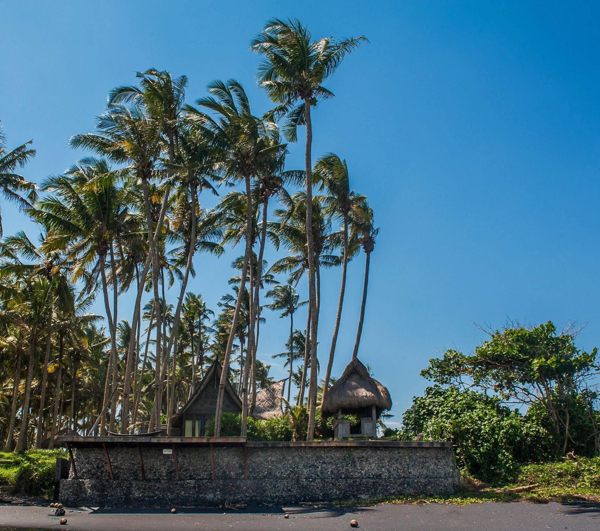 Most Exotic Beachfront Villa Keong Selemadeg Eksteriør billede